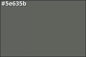 #5e635b