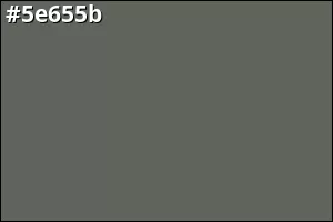#5e655b