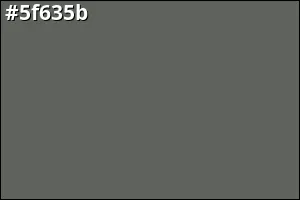 #5f635b