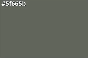 #5f665b