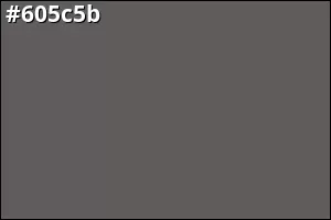 #605c5b