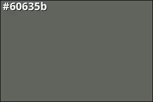 #60635b