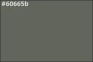 #60665b