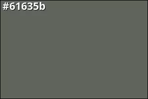 #61635b