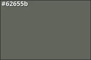 #62655b