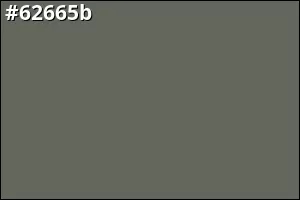 #62665b