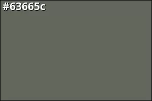 #63665c
