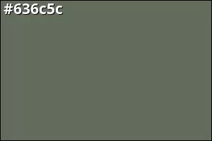#636c5c
