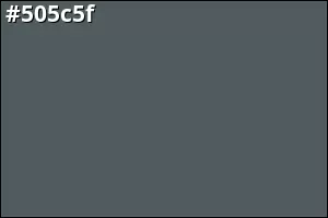 #505c5f