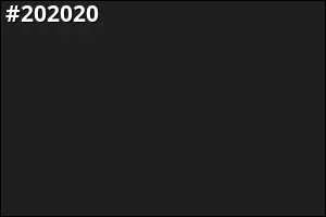 #202020