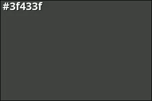 #3f433f