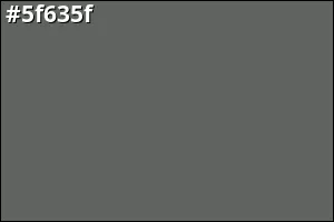 #5f635f