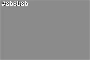 #8b8b8b