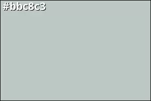#bbc8c3